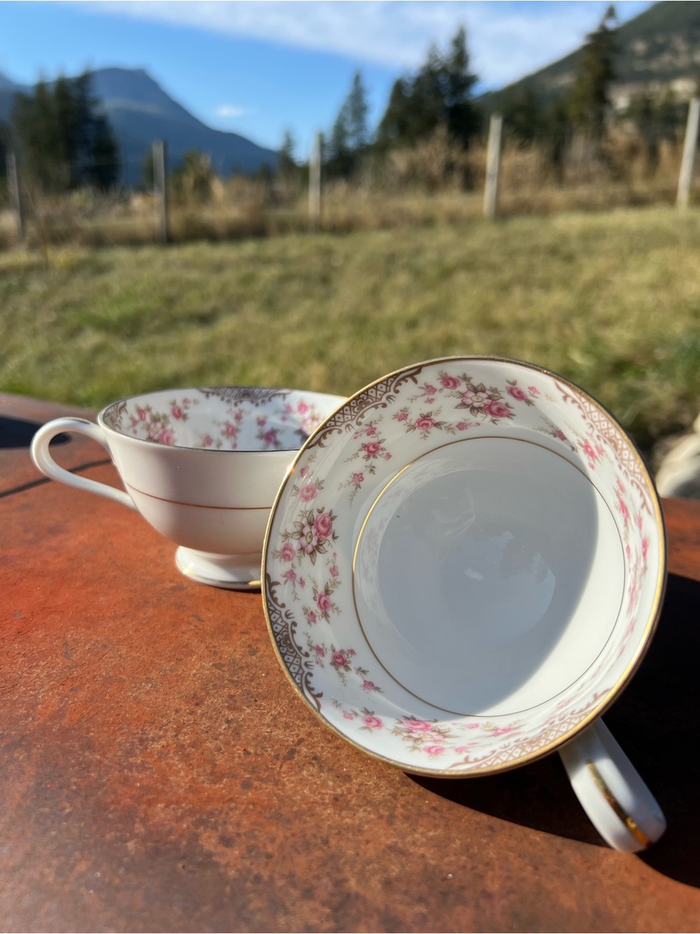 Vintage RC Japan Pink Floral Teacup Pair Gold Trim Cottagecore China Cups